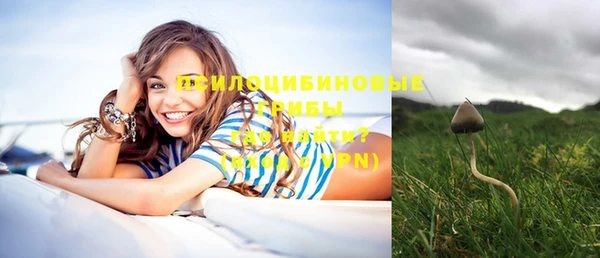 мет Аркадак