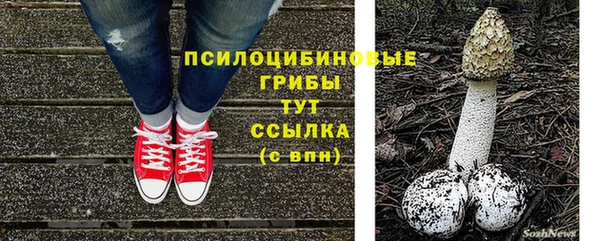 хмурый Балабаново